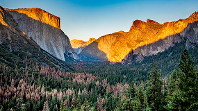 california
